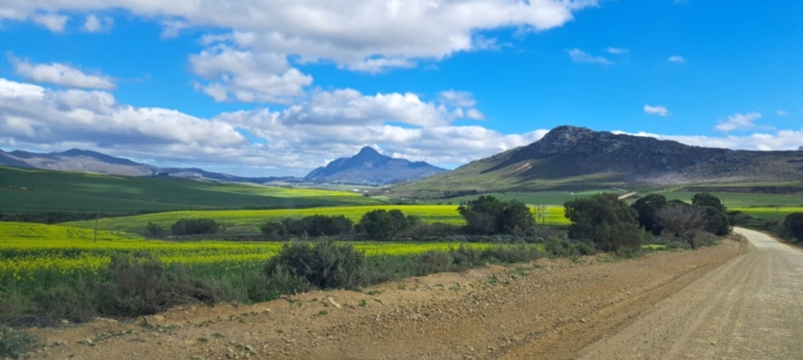 0 Bedroom Property for Sale in Tesselaarsdal Western Cape